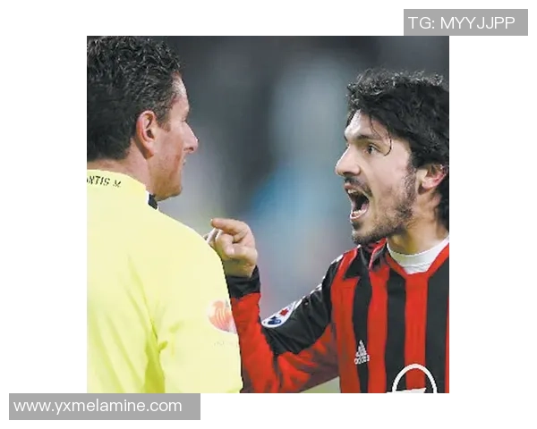 马尔蒂尼坚定支持AC米兰并称加图索执教是明智之举